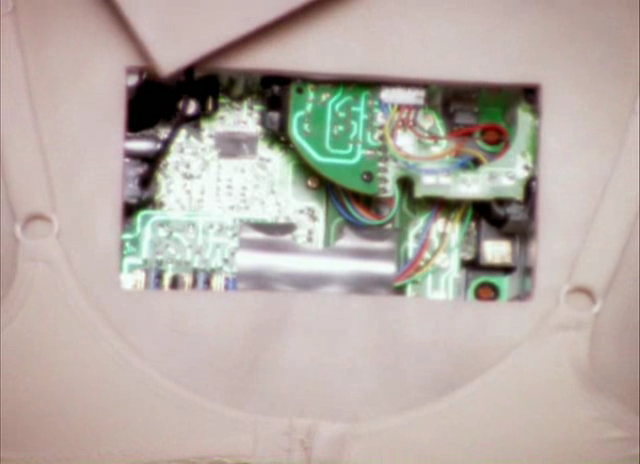 File:Electric Barbarella back panel.png