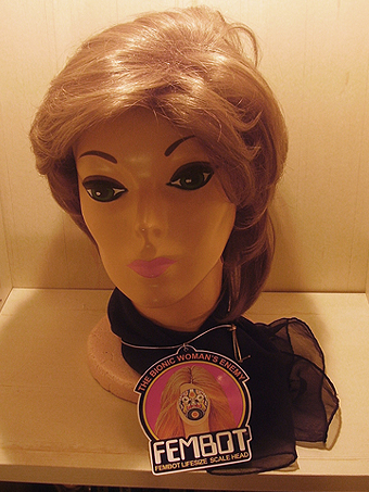 File:FEMBOT MODEL DOLL HEAD 11.jpg