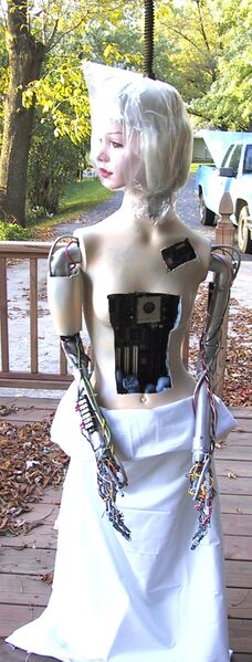 File:HH cyborg.JPG