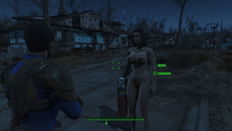 File:Fallout 4 20170223142920 1.jpg