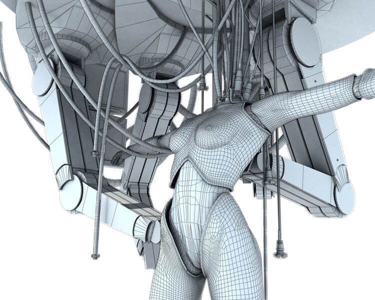 File:Robochick skylit.jpg