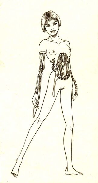 File:Robot Chick by BillForster.jpg