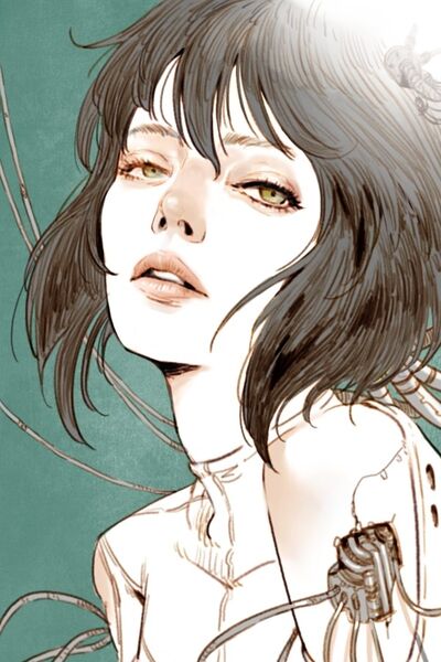 File:Ghost in the Shell by Kyoung Hwan Kim.jpg