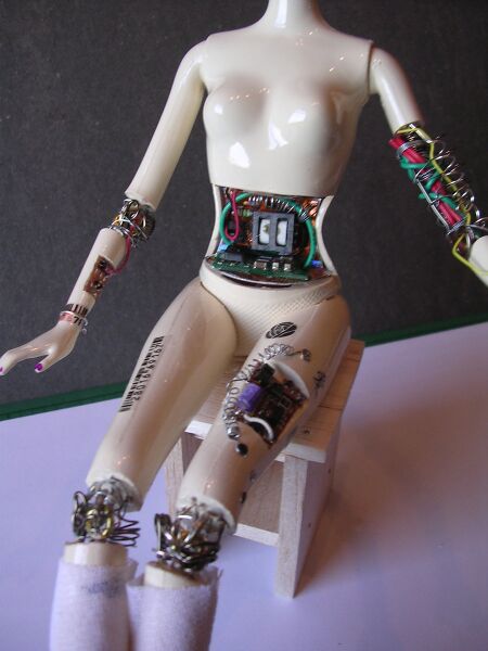 File:FEMBOT by Robo Doll.jpg