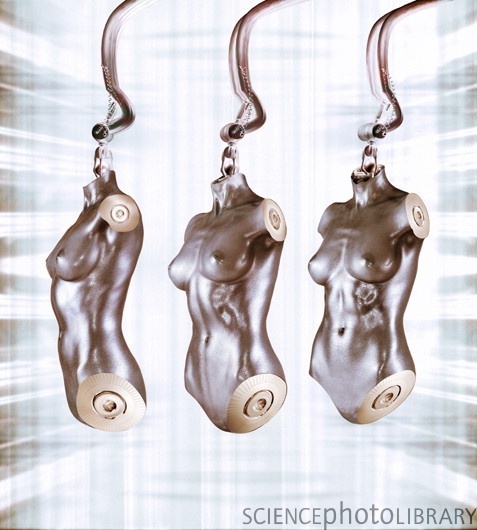 File:T280128-Female android torsos-SPL.jpg