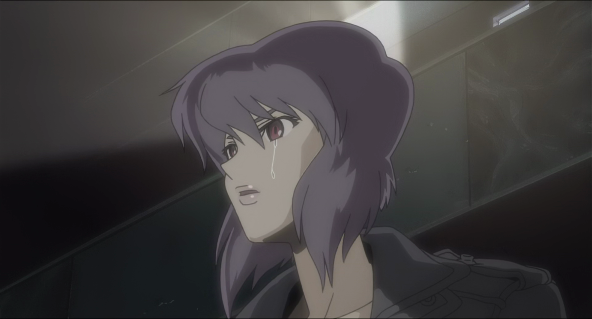 FileGitS Stand Alone Complex 01 1200005.png FembotWiki