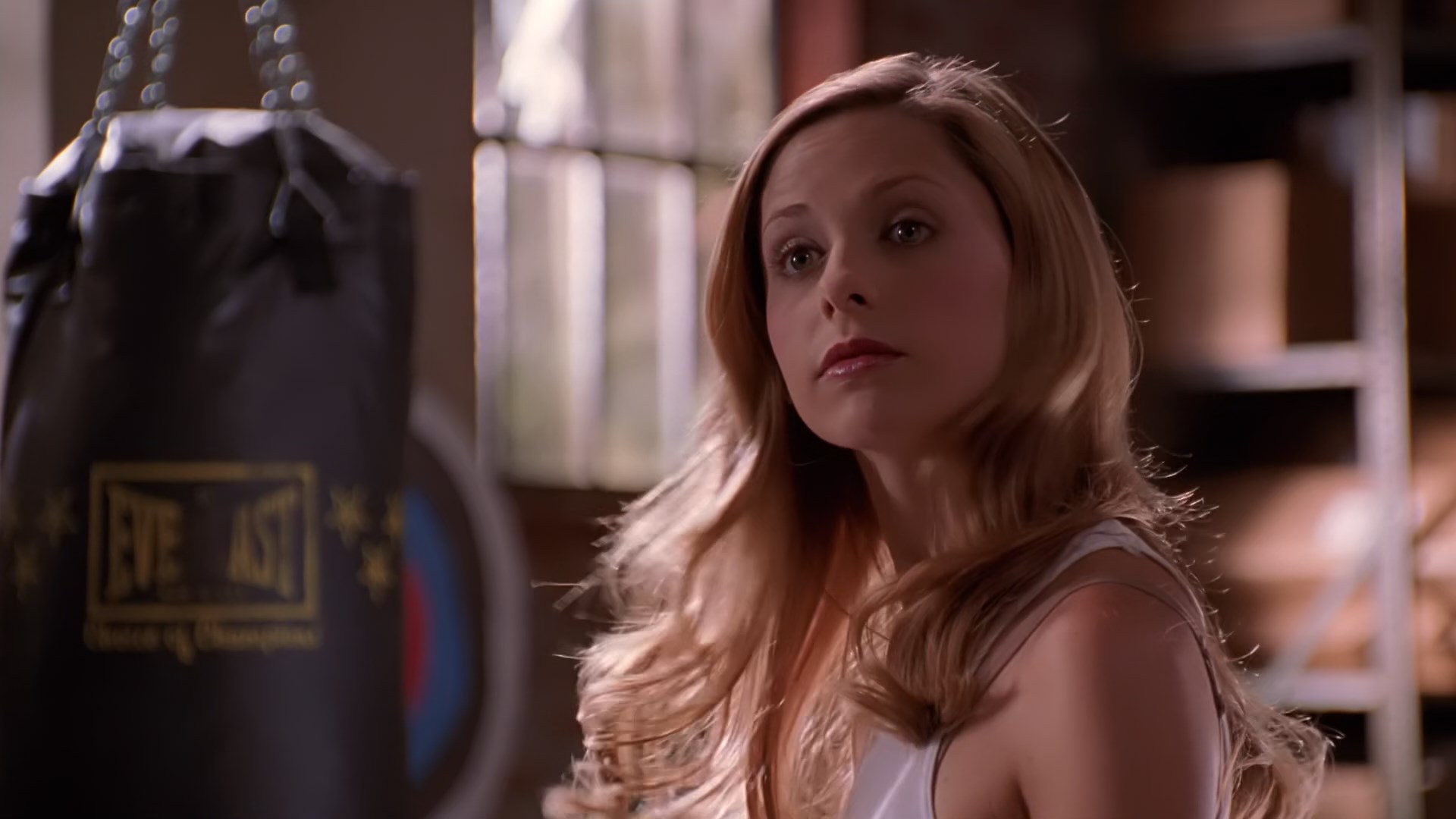 Buffy_The_Vampire_Sl. 