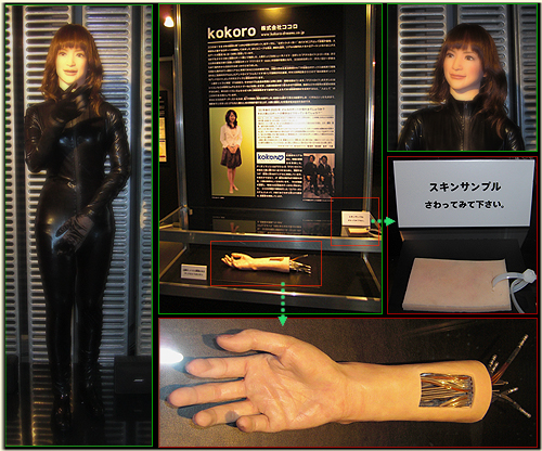 File:Kokoro Actroid display.jpg