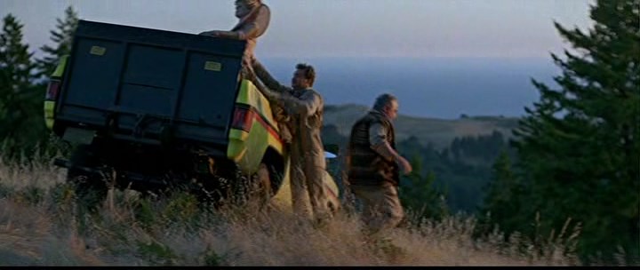 File:Heartbeeps 52.jpg