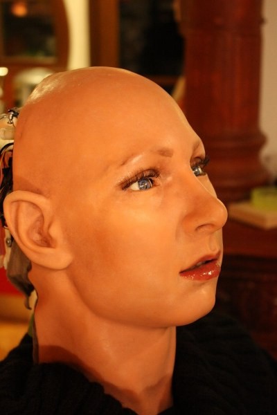 File:Faceandroid-27.jpg