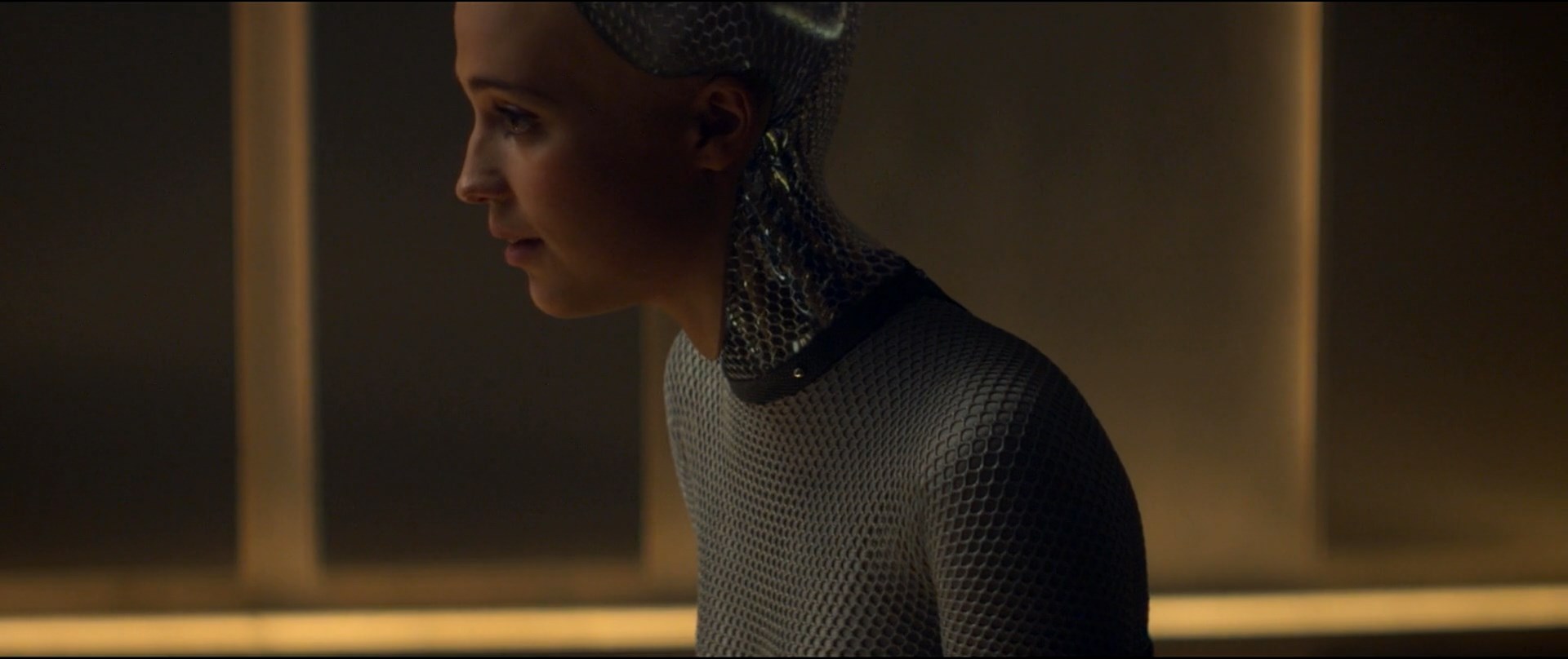 FileAva 225.jpg FembotWiki