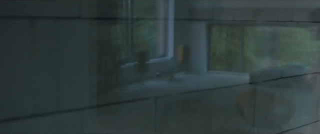 File:Konstruktor 1 out of bath.gif