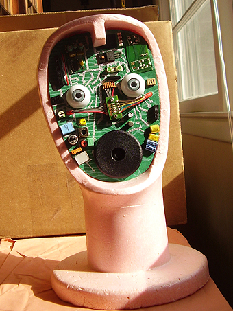 File:FEMBOT MODEL DOLL HEAD 01.jpg