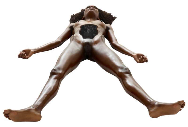 File:Abdominal panel cod.png