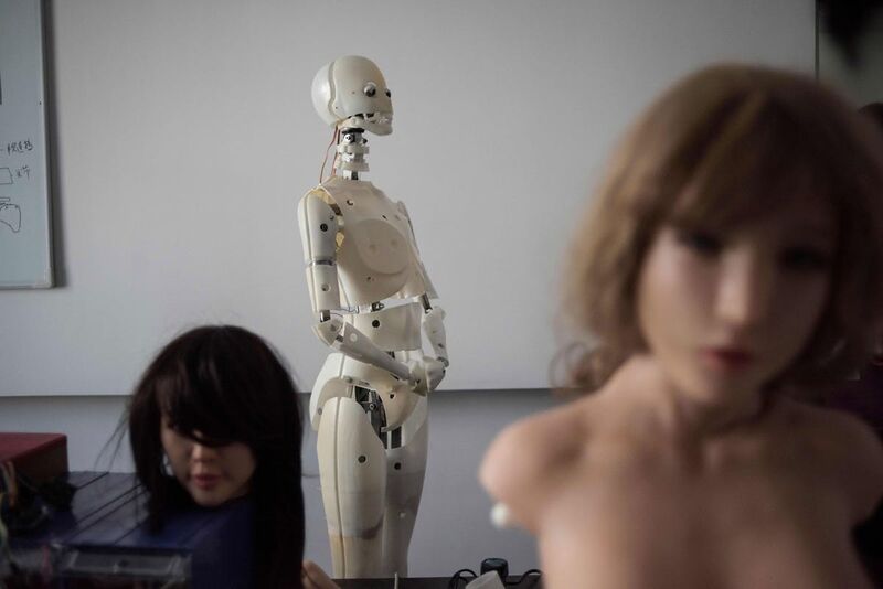 File:DSDoll sex-robots-2.jpg