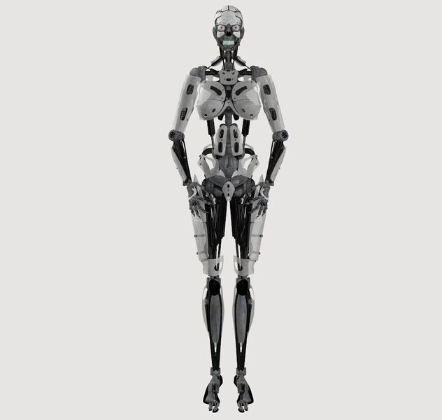 File:Factorybot01.jpg