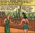 Robot Wonder Woman 24a.jpg