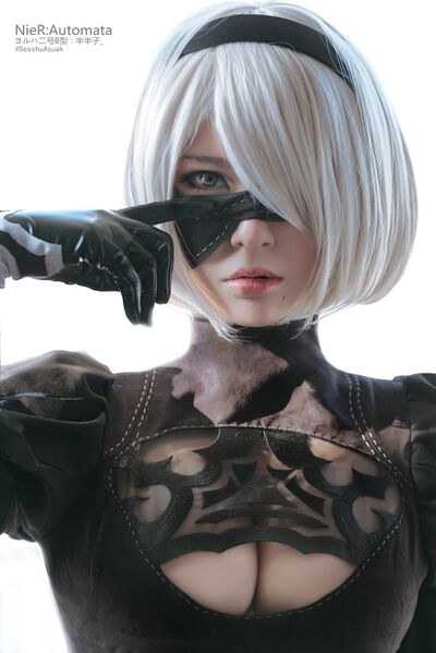 File:2B Cosplay Sesshu Asuak 1.jpg