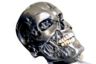 Terminator skull.png