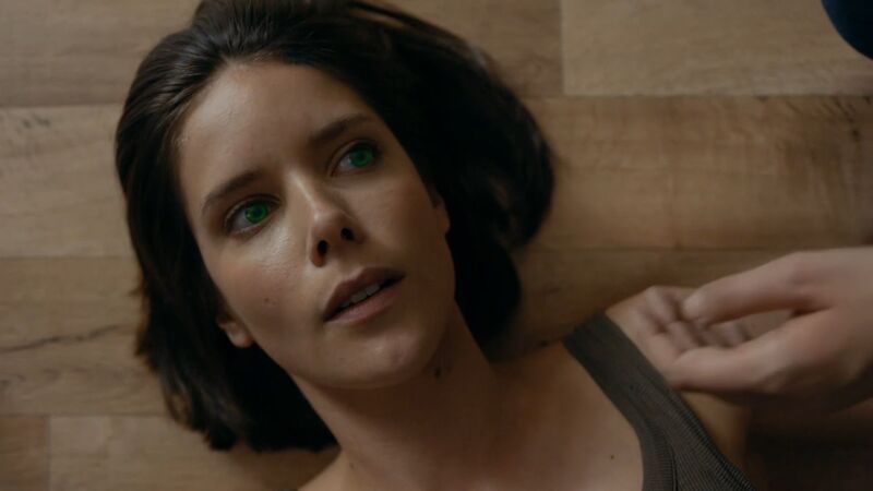 File:Humans 2.8-33.jpg