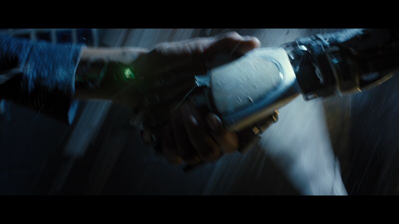 File:Rise 2.jpg