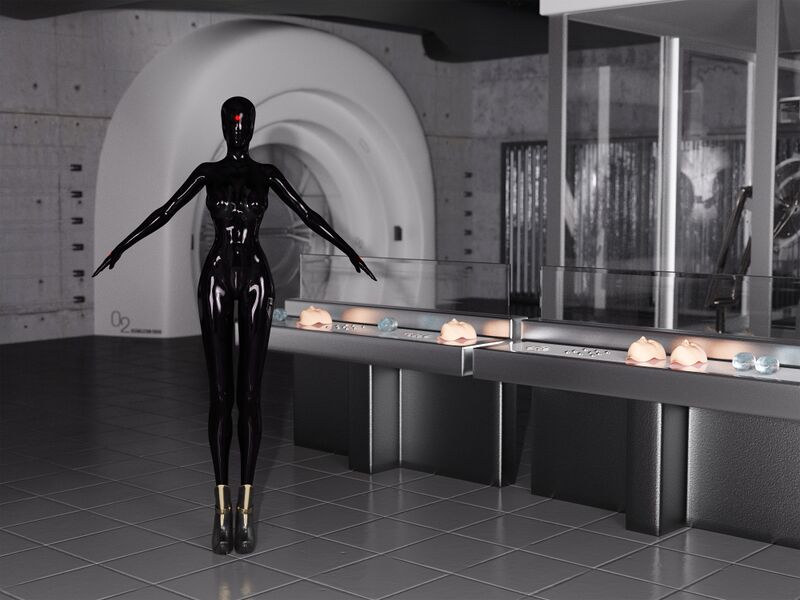 File:The Assimilation Room.jpg