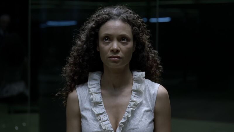 File:Westworld 1x08 37.jpg