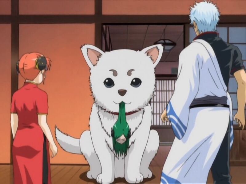 File:Gintama - 69 13.jpg