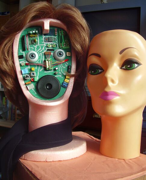 File:FEMBOT MODEL DOLL HEAD PROFILEPIC.jpg