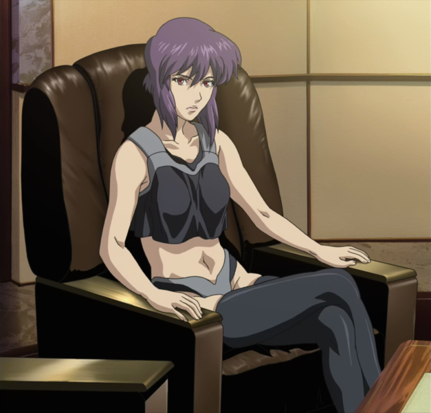 File:GitS Stand Alone Complex 01 14-00011.png