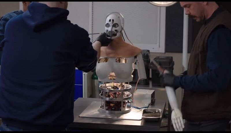 File:Silicon Valley Fiona AI Robot 27.jpg