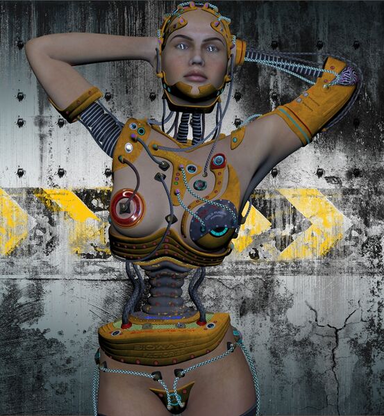 File:Cyborgsupport04.jpg