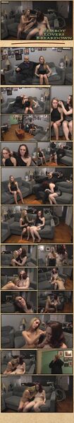 File:FembotLoversBreakdownCollage.jpg