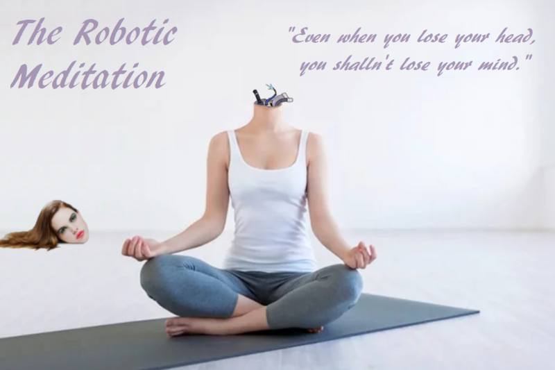 File:RoboticMeditationPractice.png