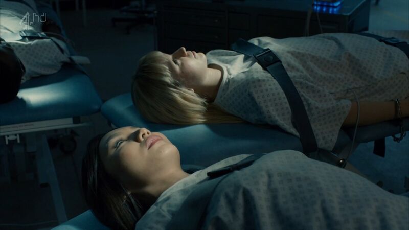 File:Humans 8-4.jpg