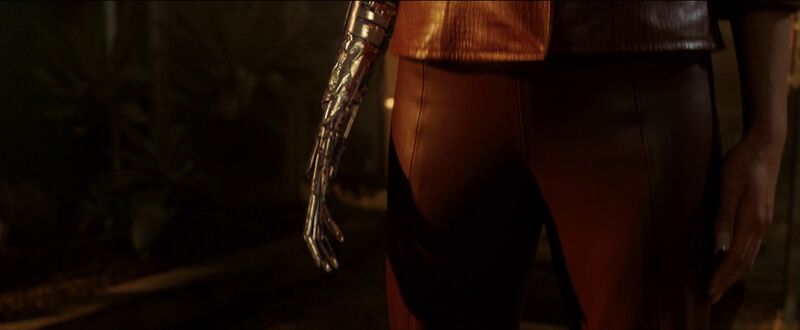 File:Terminator 3 23.jpg