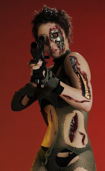 File:Target Acquired by missfawn.jpg