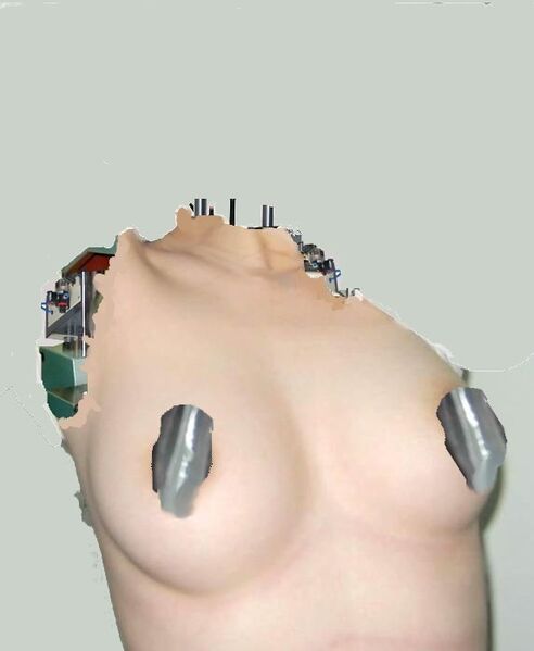 File:B2mo.jpg